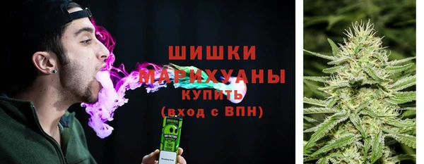 дмт Богородск