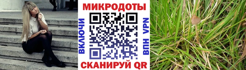 Галлюциногенные грибы прущие грибы Старый Оскол